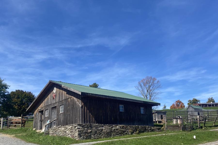 horse, farm, barn, stable, rural, field, lake, 