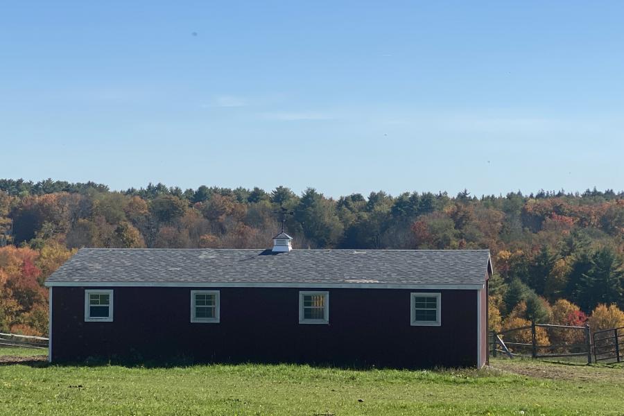 horse, farm, barn, stable, rural, field, lake, 