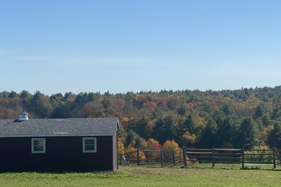 horse, farm, barn, stable, rural, field, lake, 