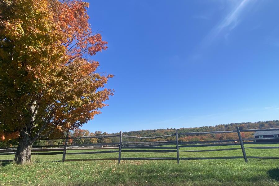 horse, farm, barn, stable, rural, field, lake, 