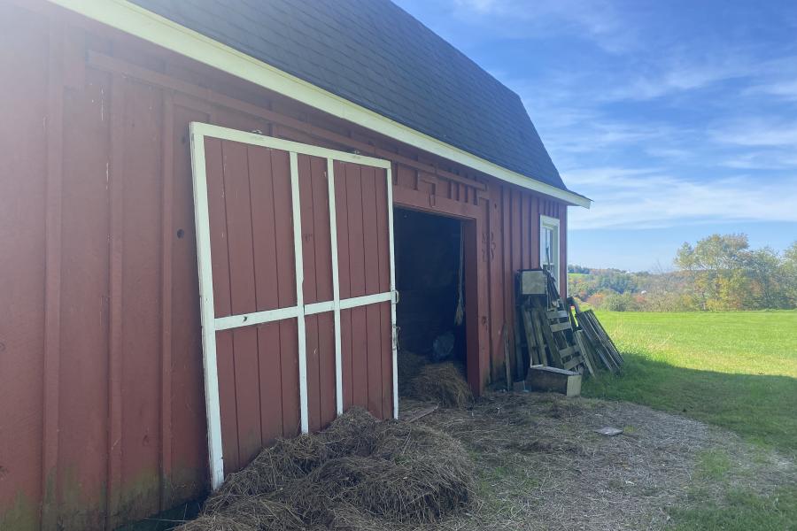 horse, farm, barn, stable, rural, field, lake, 