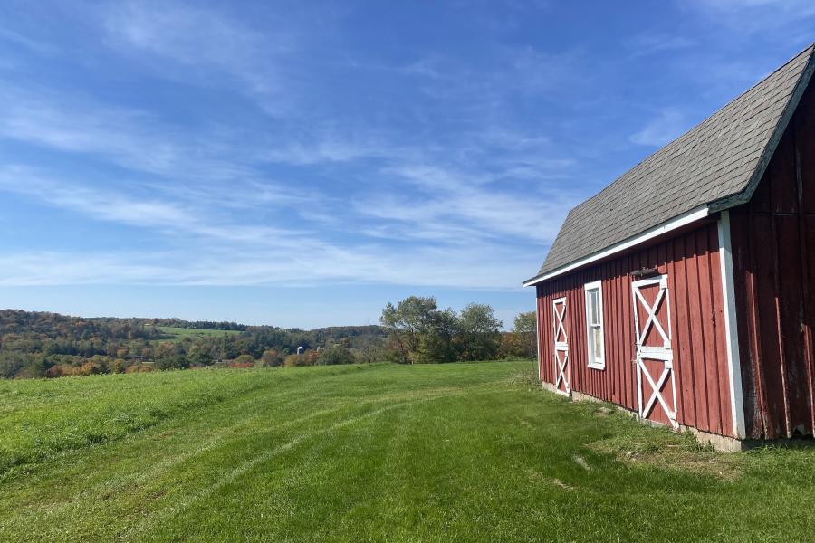 horse, farm, barn, stable, rural, field, lake, 