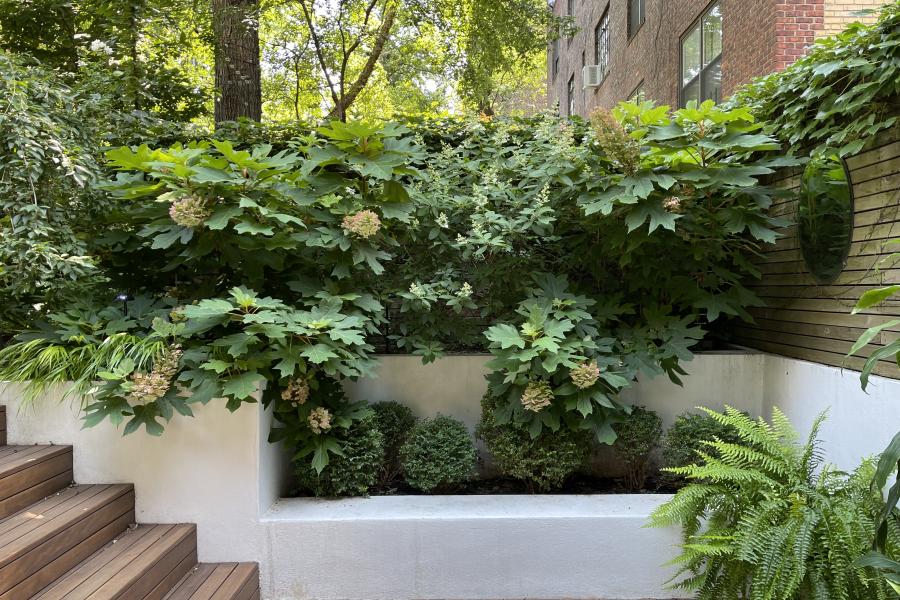 brownstone, townhouse, staircase, light, airy, upscale, bathroom, kitchen, 