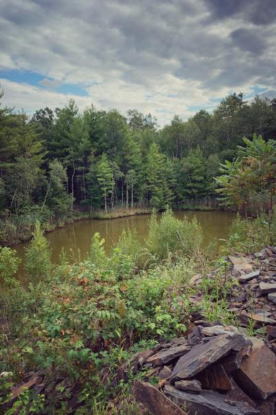 cabin, barn, lake, water, rural, country, wooded, deck, 