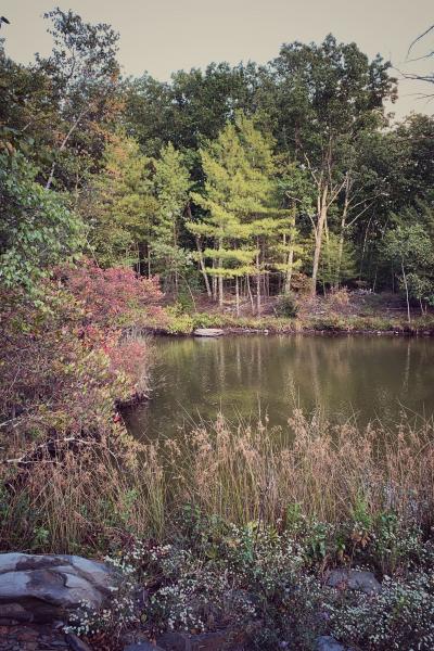 cabin, barn, lake, water, rural, country, wooded, deck, 