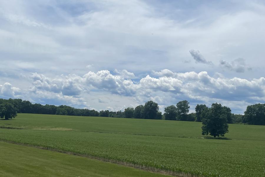 farmhouse, farm, rural, country, field, lake, barn, porch, 