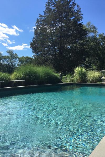 pool, patio, stone, fireplace, rustic, 