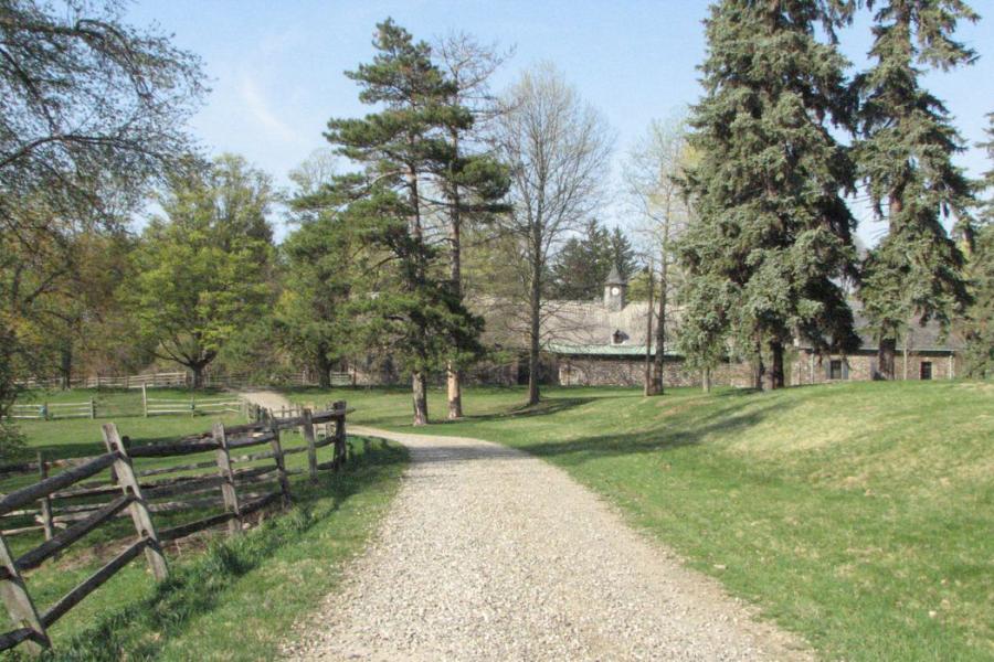 country, farm, horse, rustic, field, barn, 