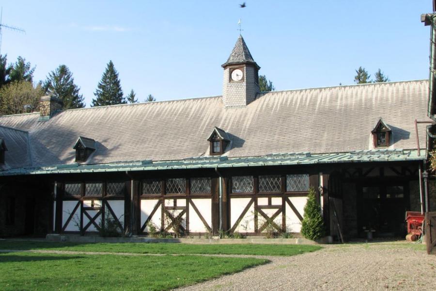 country, farm, horse, rustic, field, barn, 