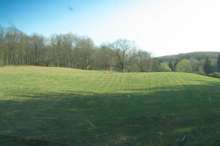 country, farm, horse, rustic, field, barn, 