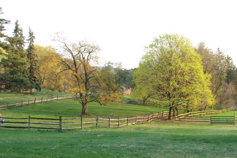 country, farm, horse, rustic, field, barn, 