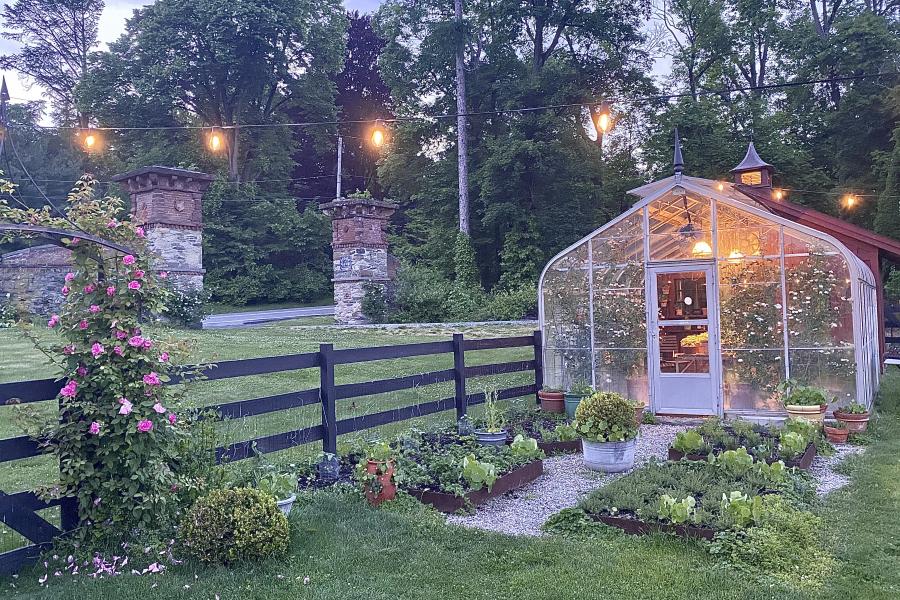 farm, greenhouse, field, rural, country, kitchen, 