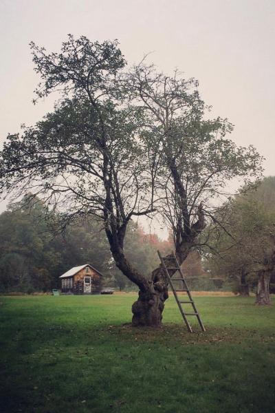 farmhouse, modern, contemporary, rural, glass, barn, water, 