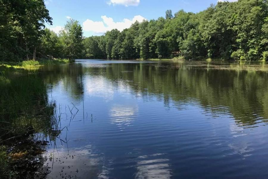 cabin, lake, rural, country, 