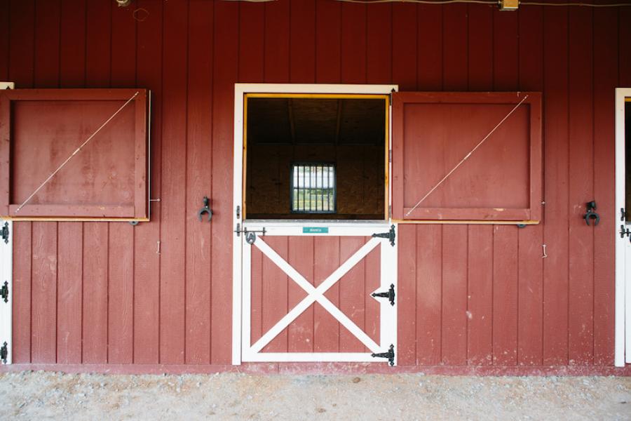 horse, farm, barn, stable, rural, field, lake, 