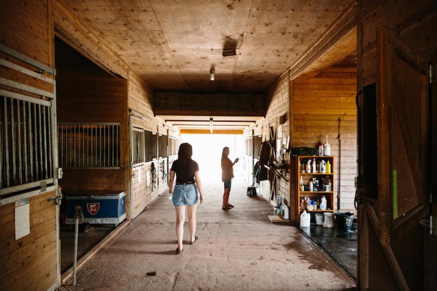 horse, farm, barn, stable, rural, field, lake, 