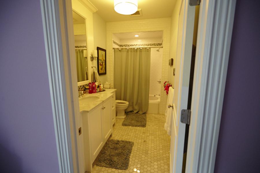 suburban, traditional, contemporary, bathroom, garden, pool, 