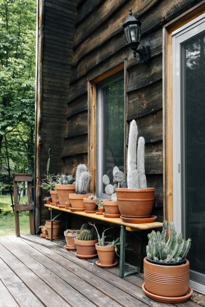 cabin, wooded, lake, water, rural, country, 