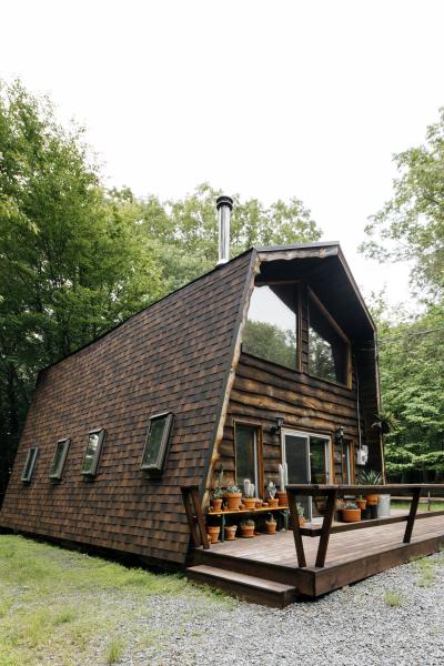 cabin, wooded, lake, water, rural, country, 