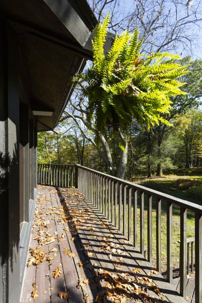 cabin, log house, rural, country, 