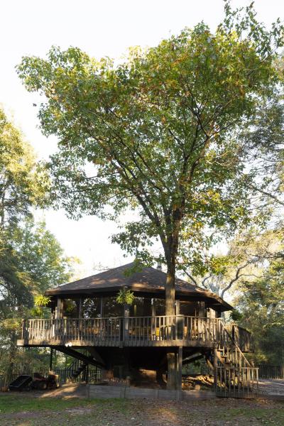 cabin, log house, rural, country, 