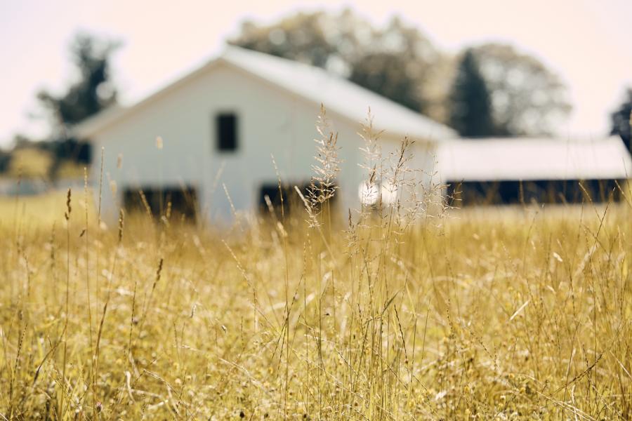 rural, contemporary, modern, light, airy, kitchen, bathroom, barn, 