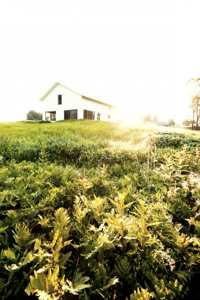 rural, contemporary, modern, light, airy, kitchen, bathroom, barn, 