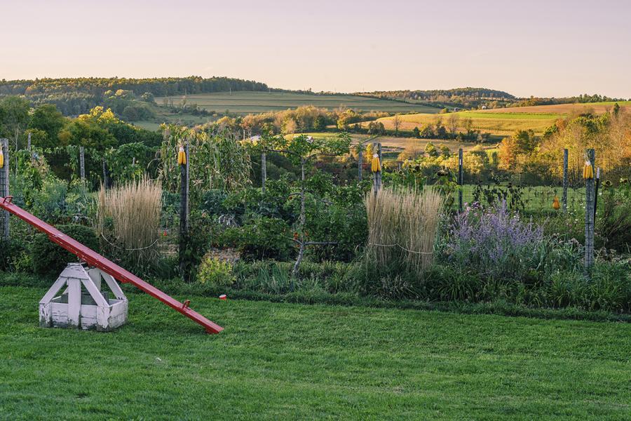 farm, farmhouse, barn, field, contemporary, light, airy, 