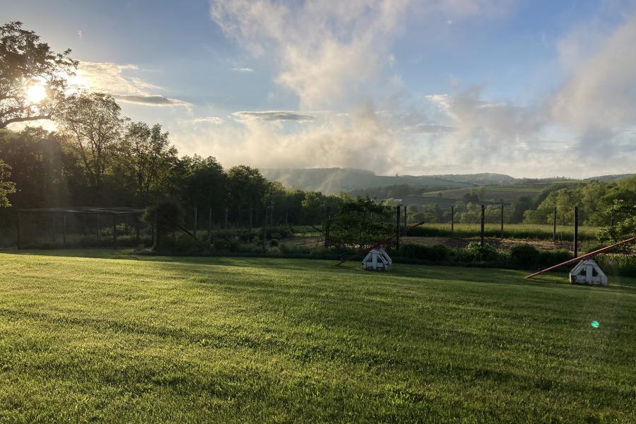 farm, farmhouse, barn, field, contemporary, light, airy, 