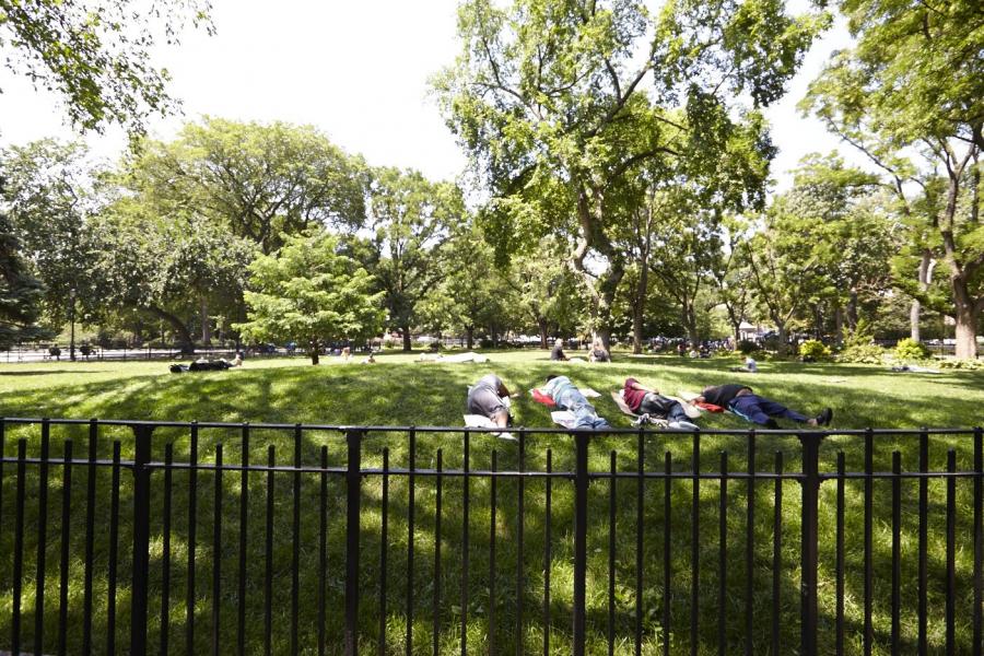 park, 