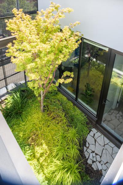 townhouse, modern, glass, light, rooftop, staircase, white, 