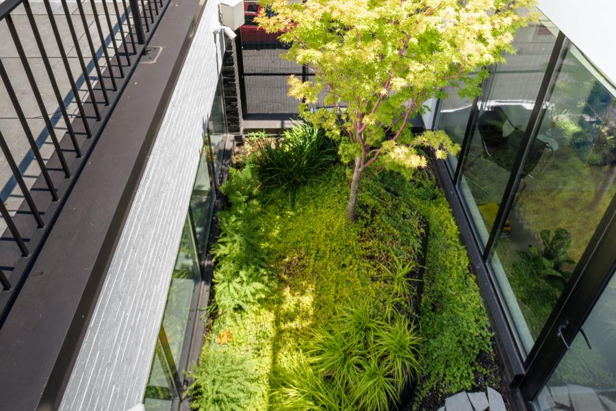 townhouse, modern, glass, light, rooftop, staircase, white, 