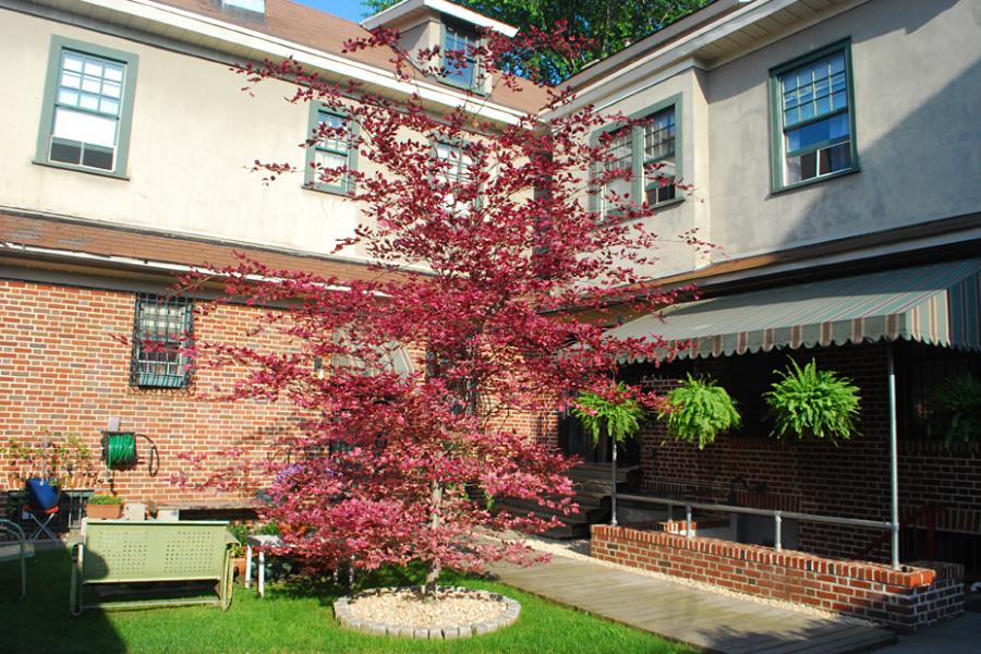 suburban, contemporary, garden, kitchen, patio, deck, fireplace, 