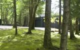 modern, contemporary, pool, bar, patio, wooded, fireplace, pool table, deck, 