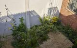 industrial, light, concrete, garden, textured walls, 