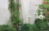 industrial, light, concrete, garden, textured walls, 