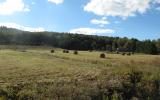 country, rural, barn, farm, 