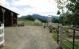 farm, farmhouse, field, water, pond, rural, stone, barn, Asheville, 