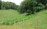 farm, farmhouse, field, water, pond, rural, stone, barn, Asheville, 