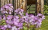 barn, farmhouse, farm, rural, 