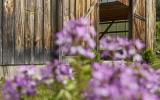 barn, farmhouse, farm, rural, 