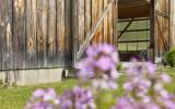 barn, farmhouse, farm, rural, 