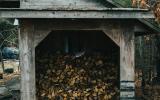 cabin, barn, lake, water, rural, country, wooded, deck, 