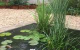 industrial, light, concrete, garden, textured walls, 