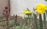 industrial, light, concrete, garden, textured walls, 