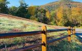 country, cabin, hotel, funky, fireplace, wooded, 