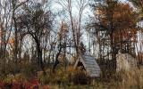 country, cabin, hotel, funky, fireplace, wooded, 