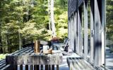 cabin, glass, wooded, light, airy, contemporary, 