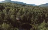 cabin, wooded, wood, pond, lake, glass, fireplace, 