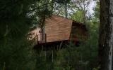 cabin, wooded, wood, pond, lake, glass, fireplace, 